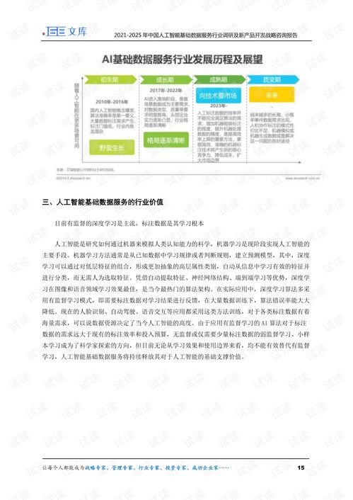 2021-2025年中國人工智能基礎(chǔ)數(shù)據(jù)服務(wù)行業(yè)調(diào)研及新產(chǎn)品開發(fā)戰(zhàn)略咨詢